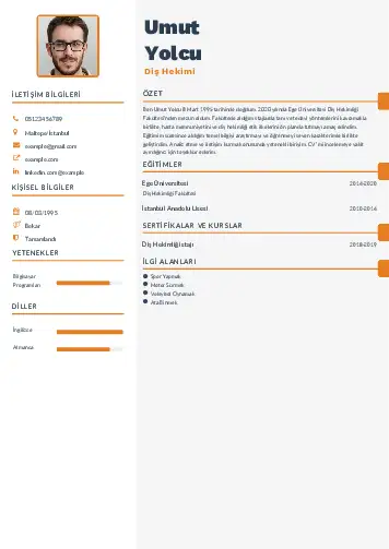 Diş Hekimi cv indir